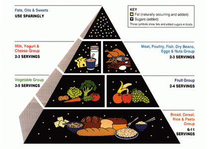 food pyramid pictures of food. usda food pyramid 2011.